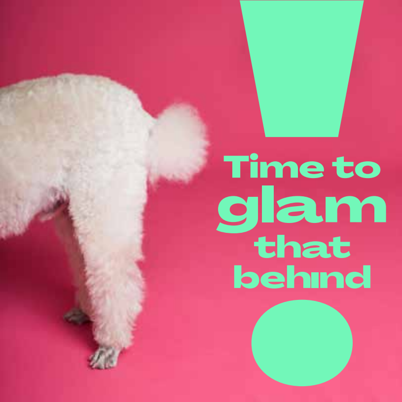 Facebook Ad Campaign